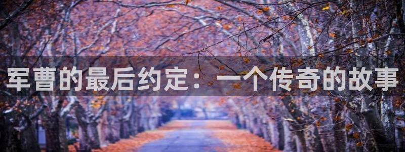 yy动漫在线观看：军曹的最后约定：一个传奇的故事