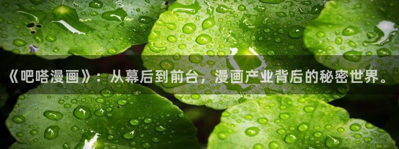 歪歪漫画人妻：《吧嗒漫画》：从幕后到前台，漫画产业背后的秘密世界。